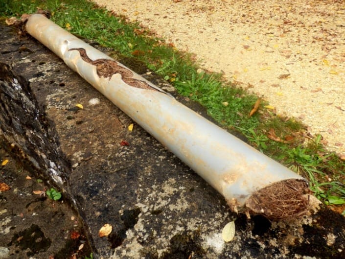 clogged-sewer-drains-with-tree-roots-in-sewer-pipe